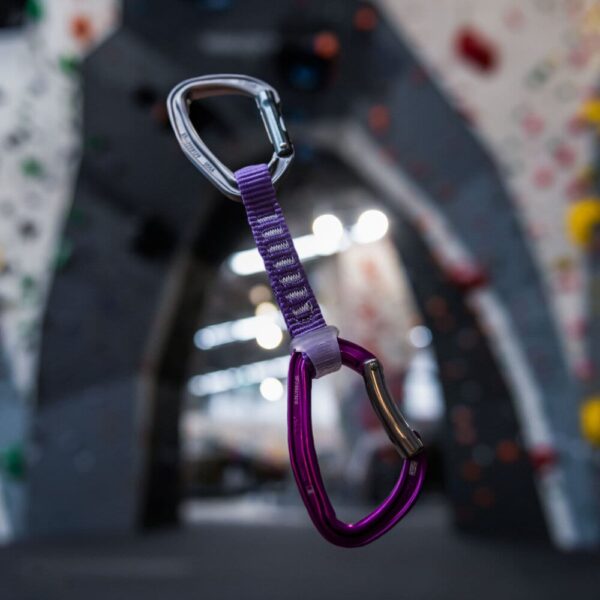 Petzl Djinn Quickdraw - PURPLE