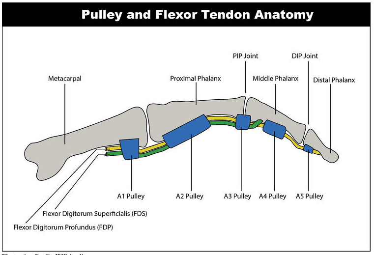 finger pulley injury