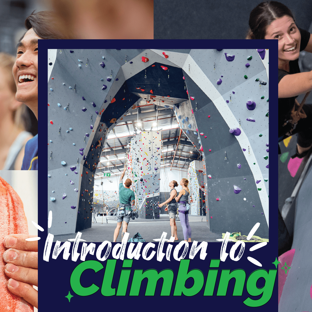 Introduction To Climbing St Leonards Climb Fit