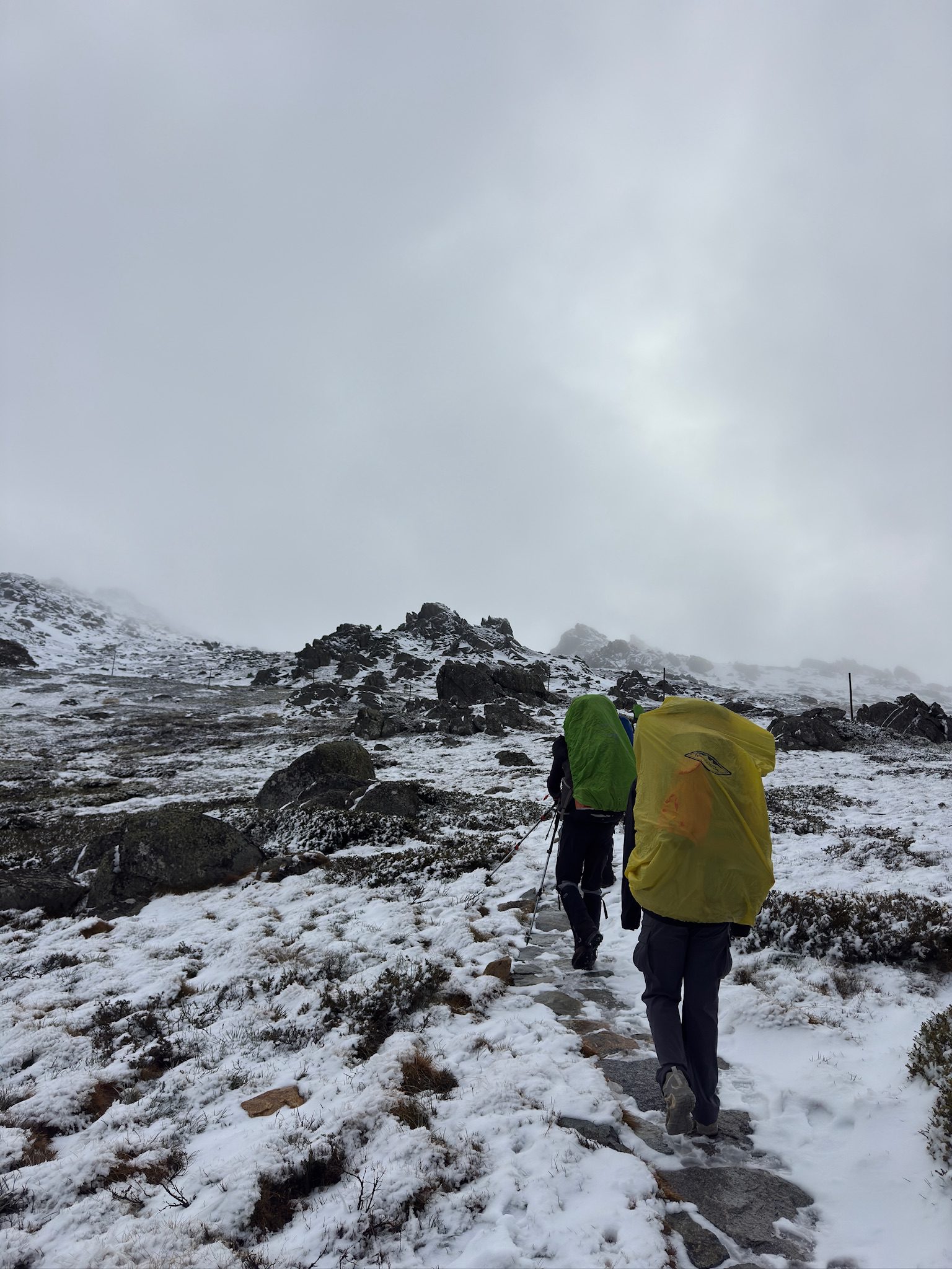 snow_campng_alpine_kosciuszko