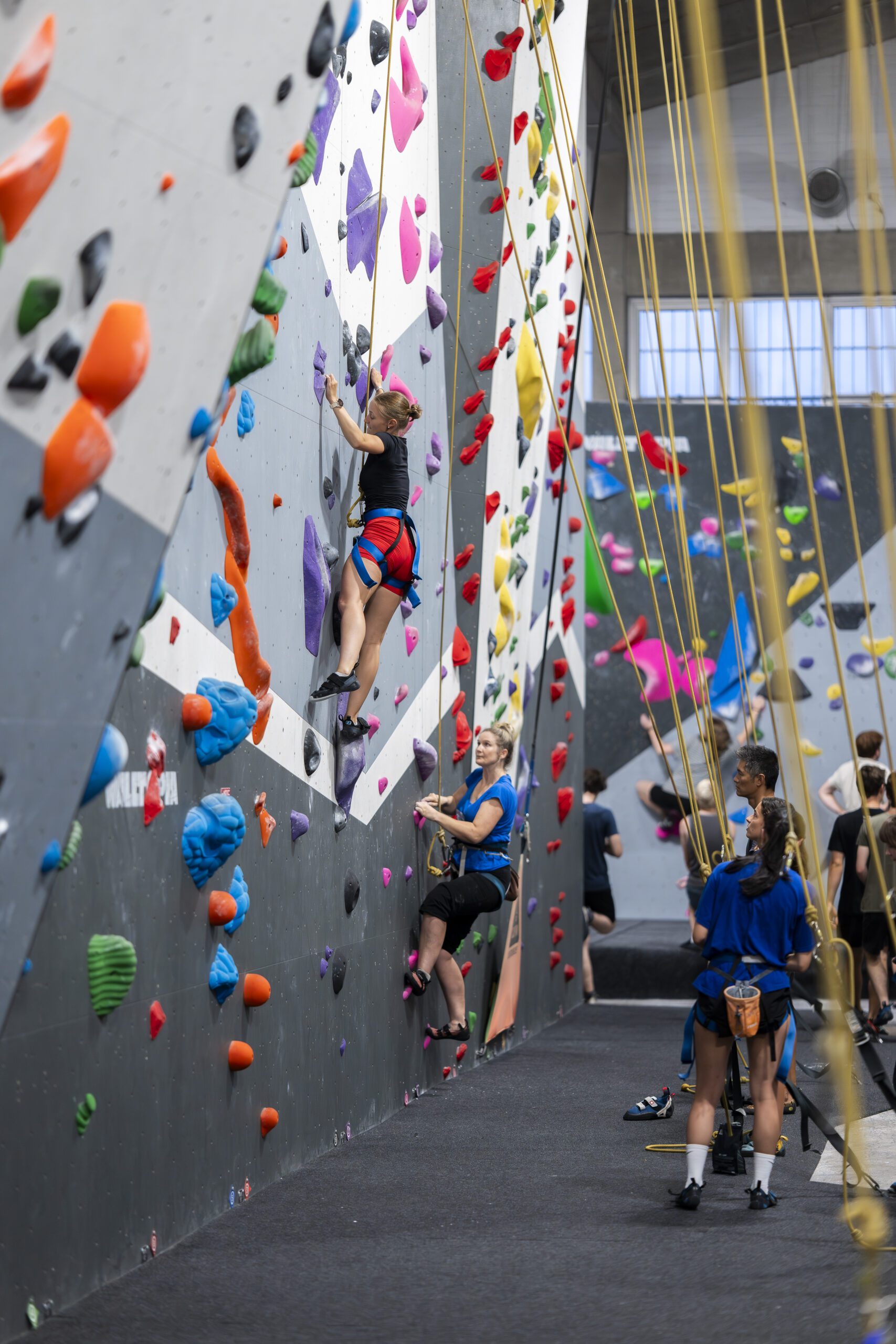 top rope climbing at climb fit macquaire group shot